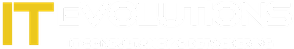 IT Evolutions, IT Consultancy & Detachering