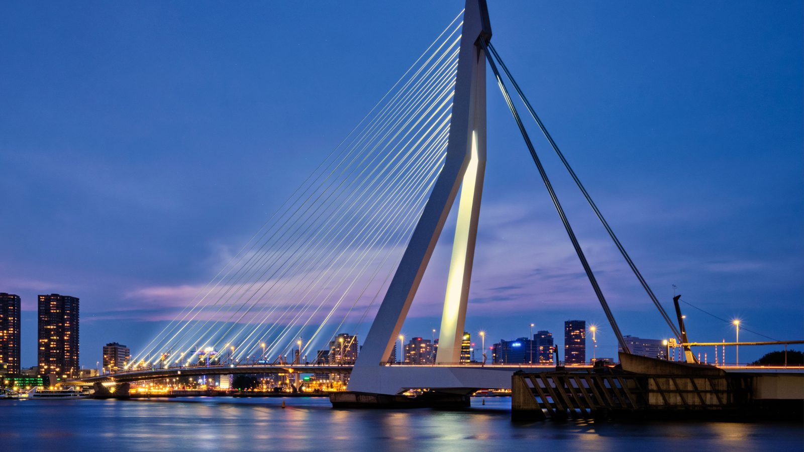 Erasmusbrug in Rotterdam als symbool voor de Nederlandse zakelijke markt